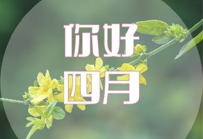 4 月裝修，錯過等一年！青島業(yè)主必看的裝修黃金時機?